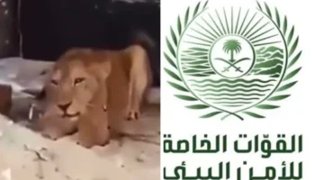 أول تعليق من “الأمن البيئي” على  الفيديو المتداول  ل “لبؤة” داخل حي سكني