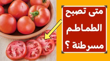 تنبيه هام للجميع: تخلص من الطماطم فوراً عند وجود هذه العلامات!