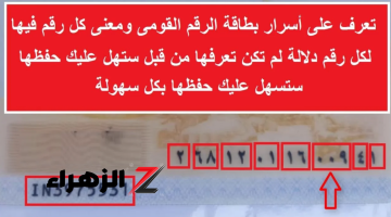 موظف ابن حلال قاللي عليها!!.. ماذا يعني مدلول الـ 14 رقم الخاص ببطاقة الرقم القومي.. قليل اوي اللي يعرفها!!