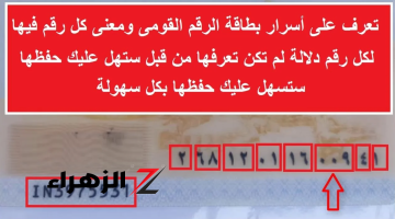 معلومة خطيرة هتعرفه لأول مرة .. الأرقام الـ14 في بطاقتك الشخصية تكشف أسرار عن قصة حياتك كلها .. هتندهش من ال هتعرفه