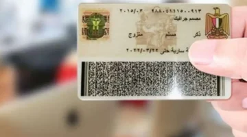 السر الذي حير العقول.. ما هو مدلول أرقام بطاقات الرقم القومي الـ14 | «كل رقم حكاية»