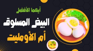 أيهما الأكثر فائدة وصحة البيض المسلوق أم المقلي؟.. هتتفاجئ لما تعرف