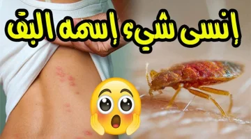 مش هتشوفيهم تاني في بيتك.. طريقة فعالة وسحرية للتخلص من البق والحشرات في ثواني