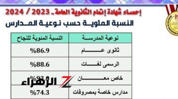 التعليم: 86.9% نسبة النجاح بمدارس الثانوى العام عربى و88.6% بالرسمى لغات