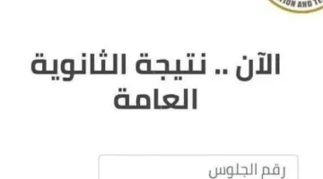 جهز نفسك.. موعد المؤتمر الصحفي لإعلان عن نتيجة الثانوية العامة 2024 وأسماء الأوائل