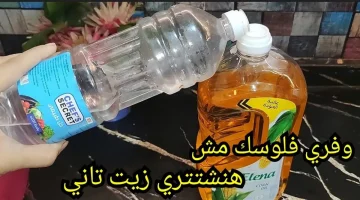 ما ترميش الزيت المستعمل! هتلاقيه كنز دهب في بيتك وفوايده لا تُحصى!