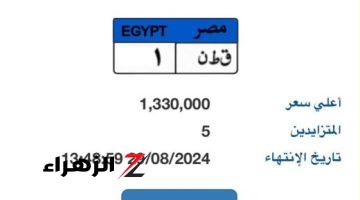 المزاد على لوحة “ق ط ن- 1” المميزة يرتفع إلى 1.330 مليون جنيه