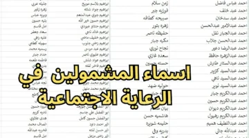 الاستعلام عن المشمولين بالرعاية الاجتماعية في العراق الدفعة السابعة 2024: الشروط والتفاصيل الكاملة….spa.gov.iq قوائم PDF