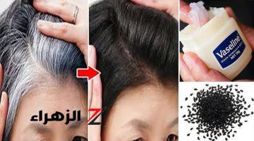 بدون صبغات كيميائية.. معجزة ملعقة فازلين لعلاج الشعر الأبيض نهائيا بدون رجوعة مرة أخرى