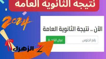 بمجموع كل مادة.. رابط الاستعلام عن نتيجة الثانوية العامة 2024 برقم الجلوس | متاحة للجميع الآن thanwya