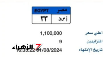 تخطى المليون جنيه بالمزاد.. تعرف على سعر لوحة “أ س د – 33” المميزة