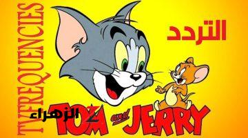 نزلها الآن.. تردد قناة توم وجيري Tom And Jerry 2024 أقمار النايل سات والعرب سات