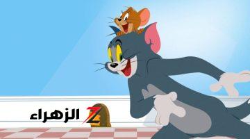 أجدد مشاكسات القط والفأر .. استقبل تردد قناة توم وجيري الجديد 2024 لمتابعة الكرتون العالمي Tom and Jerry