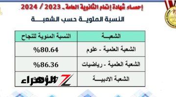 تعرف على النسب المئوية للنجاح فى شعب الثانوية العامة 2024