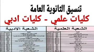 تفاصيل كاملة عن تنسيق المرحلة الأولى 2024 وتنسيق كليات القمة والحدود الدنيا لكل شعبة