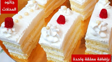 بكوب دقيق واحد.. طريقة عمل جاتوه المحلات🍰 وسر أشهرالمحلات في مكون موجود في كل بيت بدون حليب وبدون محسن