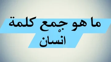 سؤال حير العباقرة .. اكتشف ما هو سؤال جمع كلمة إنسان الذي حير الكثير من الطلاب في الثانوية العامة؟ .. أتحداك تعرفها