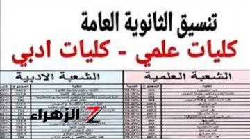 خطوات تسجيل رغبات الكليات 2024 ومؤشرات تنسيق الثانوية العامة المرحلة الثانية