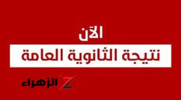 رسميًا.. إعلان رابط نتيجة الثانوية العامة 2024 بالاسم ورقم الجلوس خلال ساعات | بيان عاجل من “التعليم”