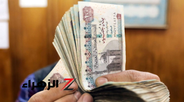 اعرف هتسحب فلوسك إزاي.. مصير المعاشات والمرتبات بعد القرار الجديد للبنك المركزي