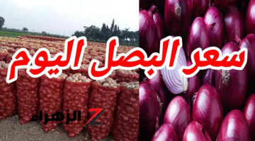 موعد انخفاض سعر البصل.. وبشرى سارة لملايين المواطنين فى أسعار البطاطس والطماطم (فيديو)