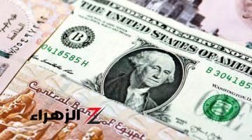 سعر الدولار مقابل الجنيه المصري اليوم الأحد 18 أغسطس 2024 في البنوك المصرية