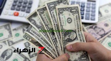 “الأخضر” يرفع الراية البيضاء … سعر الدولار اليوم الاثنين 26 أغسطس 2024 مقابل الجنيه المصري