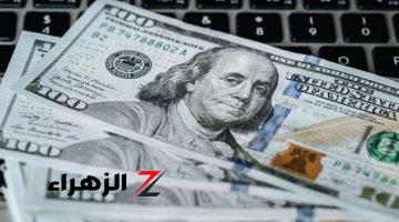 سعر الدولار اليوم الأربعاء 21 أغسطس في مصر تحديث يومي مقابل الجنيه في البنوك