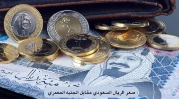 سعر الريال السعودي اليوم الجمعة 23 أغسطس 2024: ارتفاع جديد أم استقرار؟ تفاصيل الأسعار في البنوك والسوق السوداء