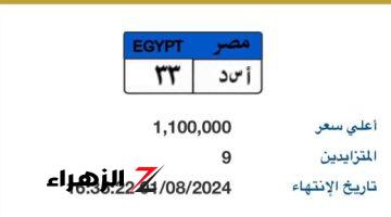 سعر لوحة “أ س د – 33” المميزة يصل مليون و100 ألف جنيه بالمزاد