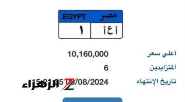 سعر لوحة سيارة “أ ع أ – 1” المميزة يتخطى 10 ملايين جنيه