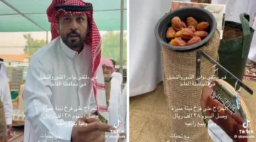 شاهد.. حراج على فسيلة نخلة نادرة  في ملتقى للتمور  بالرياض والسوم يصل إلى 38 ألف ريال