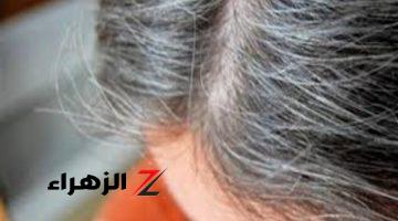 «انسي الحنة والتصبغات»!!..إليك مكون واحد يخلصك من الشعر الأبيض في خلال أيام!!