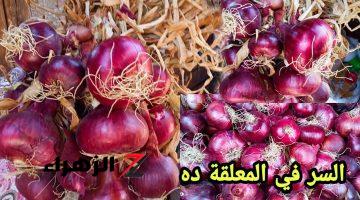 كنز في بيتك!!. سر التخزين الفعال للبصل في الثلاجة وحافظي على نضارته وطزاجته لوقت طويل زي المحترفين!!.