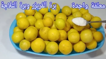 ضاع عمرنا واحنا ما نعرفش الحركة  دي .. شوفي طريقة تخزين الليمون لمدة سنة