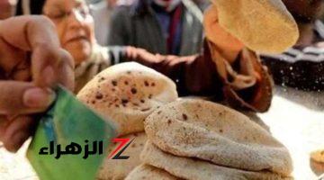 فاتورة خبز أم حرب.. مصر تدفع 38% على تكلفة استيراد القمح خلال 5 أشهور