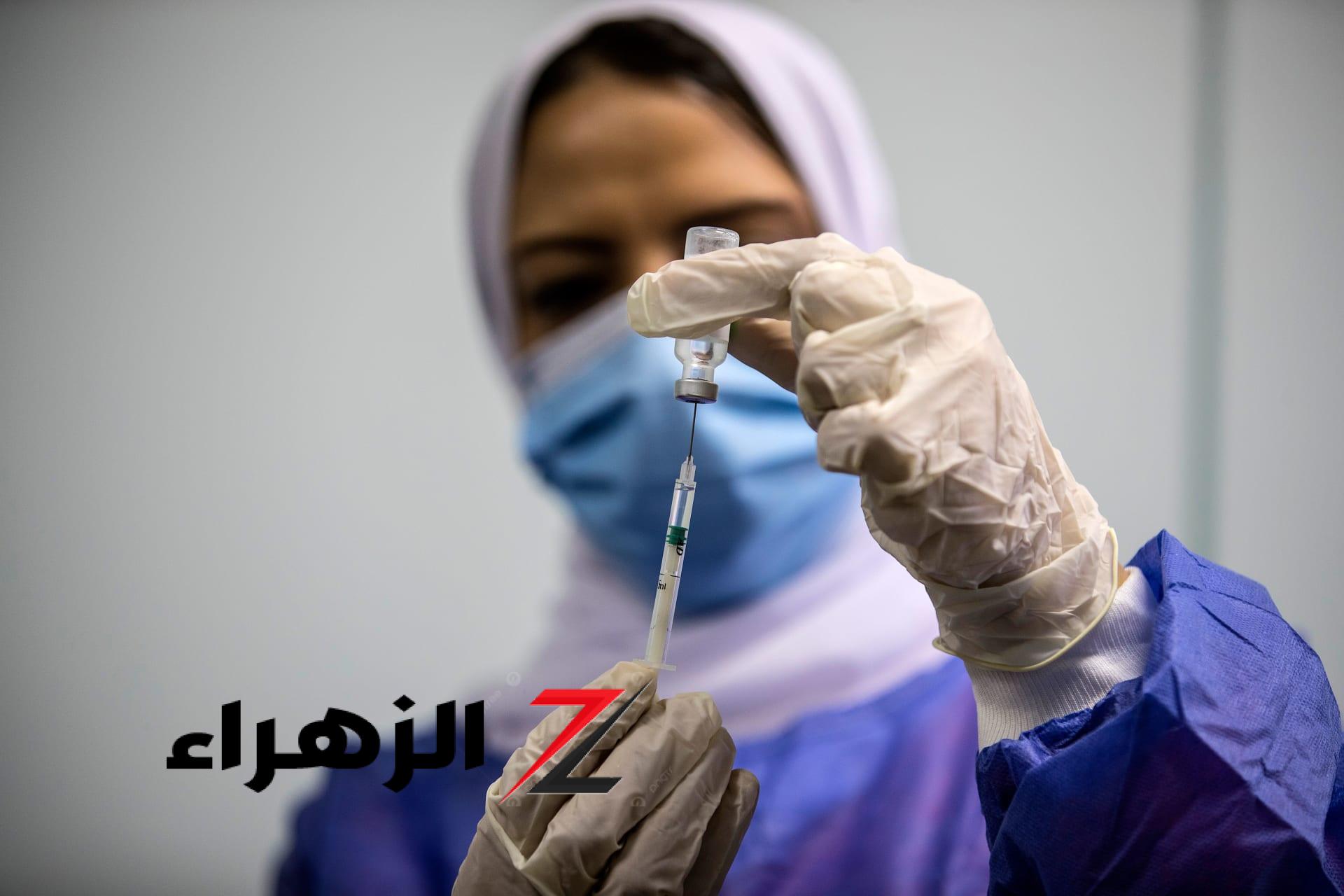 بعد وفات العشرات بسببه.. ما هو فيروس “الهانتا” وهل سيكون كورونا الجديد؟