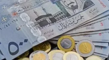 وزارة المالية …. قرار خادم الحرمين بصرف راتب 700 ريال إضافي لبعض الفئات في المملكة