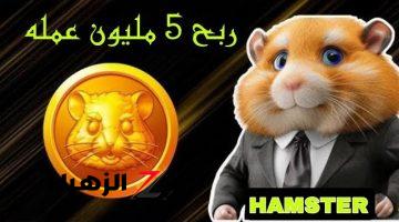 جمع واكسب ملايين.. فرصة جبارة للربح من لعبة بوت هامستر كومبات Hamster Kombat طريقة الربح و كيفية السحب