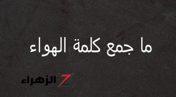 فشل في حلها 99%.. ما هو جمع كلمة ” هواء ” في معجم اللغة العربية الفصحى .. الشاطر يرفع ايده يجاوب!!