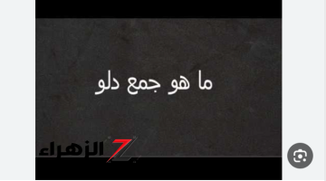 طلبة السنتر معرفوهاش .. أصعب جمع كلمة “دلو” في اللغة العربية الفصحى .. يا ترى اي الإجابة!!