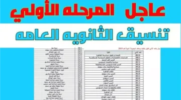 وفقا لبيان وزارة التعليم العالي….مؤشرات تنسيق المرحلة الأولى 2024 لطلاب أدبي وعلمي