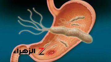 جرثومة المعدة: هل انتهت المعركة؟ تعرف على الأسباب التي تدعوك لتكرار العلاج وكيفية الوقاية