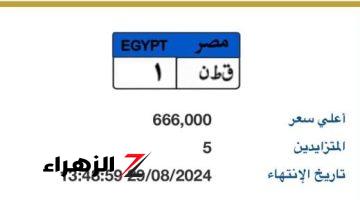 مزاد على لوحة “ق ط ن- 1” المميزة بسعر يتخطى نصف مليون جنيه