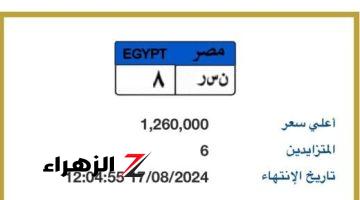 مزاد على لوحة “ن س ر- 8” المميزة وسعرها يصل لمليون و260 ألف جنيه