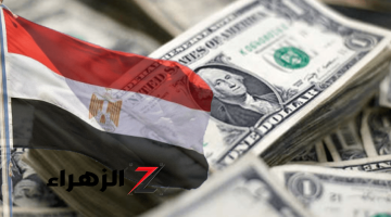 مصر تكشف حجم ديونها المستحقة للدول العربية