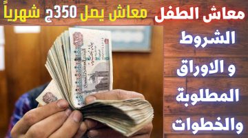 معاش للطفل شهرياً حتى سن 18 سنة.. مفاجأة سارة من الحكومة| اعرف الشروط والأوراق المطلوبة