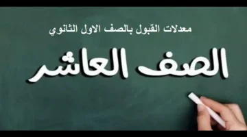 كل ما تحتاج معرفته: معدلات قبول العاشر العام في سوريا 2024/2025 بالمدارس العامة والمهني في جميع المحافظات السورية