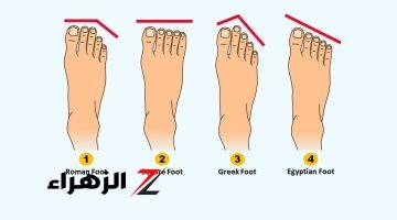 هتعرف جدودك من فين.. طريقة معرفة أصولك من شكل صوابع رجلك| معلومة هتصدمك