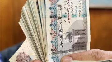 مليون مبروك … الحكومه تزف بشرى سارة للموظفين وعلاوه جديده فى الطريق